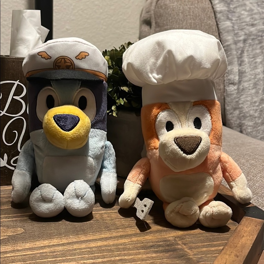 Bluey and bingo plushie set!